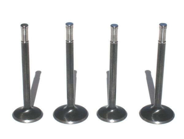 Black diamond stock size valve set for JS Beehive valve springs only
