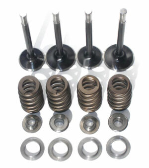 Valves, Springs & Head